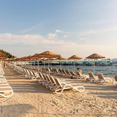 Курортный комплекс Duja Bodrum Торба