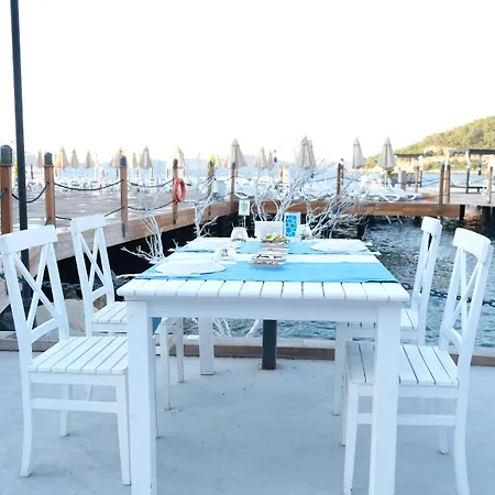 Курортный комплекс Duja Bodrum 5*